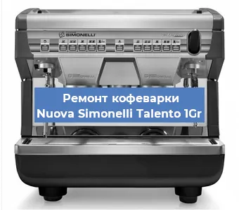 Декальцинация   кофемашины Nuova Simonelli Talento 1Gr в Ростове-на-Дону